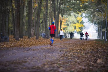 adam bir sonbahar parkında Chernigov çalıştıran