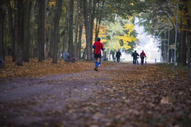 adam bir sonbahar parkında Chernigov çalıştıran