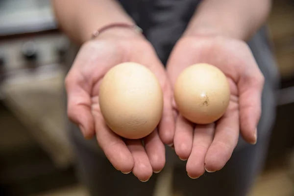 Hausgemachtes Hühnerei Mit Zwei Eigelben — Stockfoto