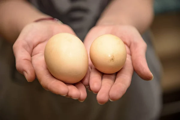 自家製鶏の卵 つの卵黄 — ストック写真