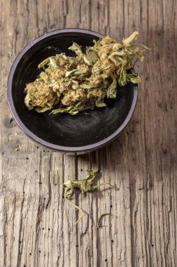 Bataklık meşesinin arka planında esrar ve şırınga