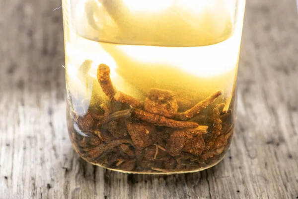 Alcohol Tinctuur Chinese Geneeskunde Een Ginseng Cordyceps — Stockfoto