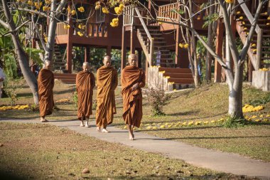 Vipassana, Tayland 'da. Pai şehri bölgesi. 12 Nisan 2019