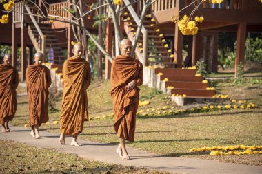 Vipassana, Tayland 'da. Pai şehri bölgesi. 12 Nisan 2019