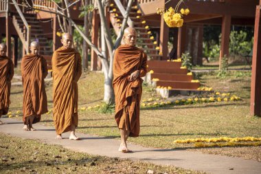 Vipassana, Tayland 'da. Pai şehri bölgesi. 12 Nisan 2019