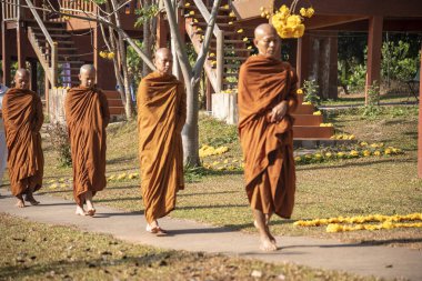 Vipassana, Tayland 'da. Pai şehri bölgesi. 12 Nisan 2019