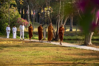 Vipassana manastırda. Tayland. Chiang Mai şehri. 15 Şubat 2019