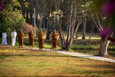 Vipassana manastırda. Tayland. Chiang Mai şehri. 15 Şubat 2019