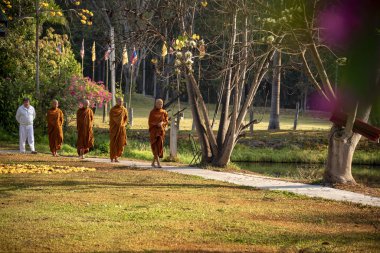 Vipassana manastırda. Tayland. Chiang Mai şehri. 15 Şubat 2019
