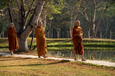 Vipassana manastırda. Tayland. Chiang Mai şehri. 15 Şubat 2019