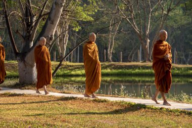 Vipassana manastırda. Tayland. Chiang Mai şehri. 15 Şubat 2019