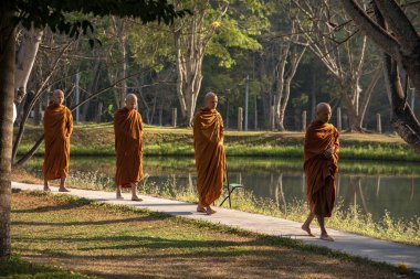 Vipassana manastırda. Tayland. Chiang Mai şehri. 15 Şubat 2019