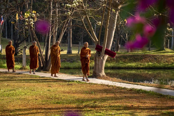 Vipassana Monasterio Tailandia Ciudad Chiang Mai Febrero 2019 — Foto de Stock