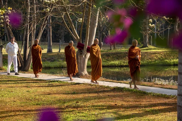 Vipassana Στο Μοναστήρι Ταϊλάνδη Στην Πόλη Τσιάνγκ Μάι Φεβρουαρίου 2019 — Φωτογραφία Αρχείου