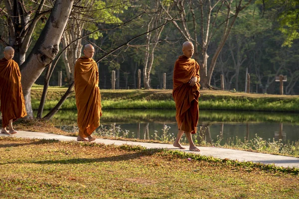 Vipassana Dans Monastère Thaïlande Chiang Mai Février 2019 — Photo