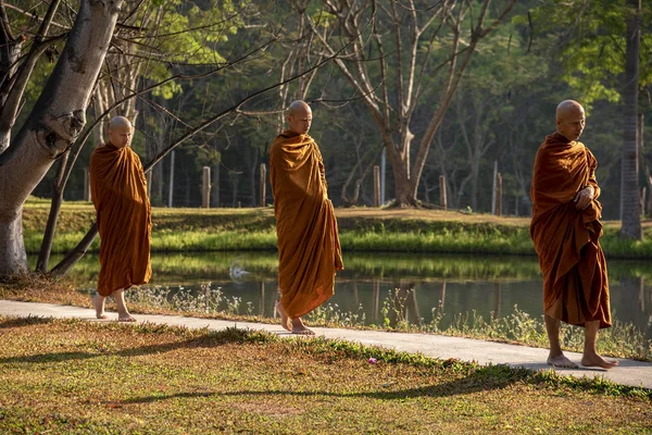 Vipassana Στο Μοναστήρι Ταϊλάνδη Στην Πόλη Τσιάνγκ Μάι Φεβρουαρίου 2019 — Φωτογραφία Αρχείου