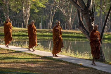 Vipassana manastırda. Tayland. Chiang Mai şehri. 15 Şubat 2019