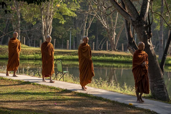 Віпасана Монастирі Таїланд Місто Чан Май Лютого 2019 — стокове фото