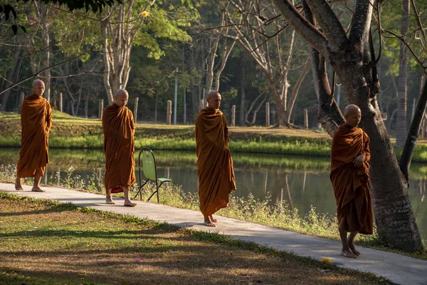 Vipassana Monasterio Tailandia Ciudad Chiang Mai Febrero 2019 — Foto de Stock