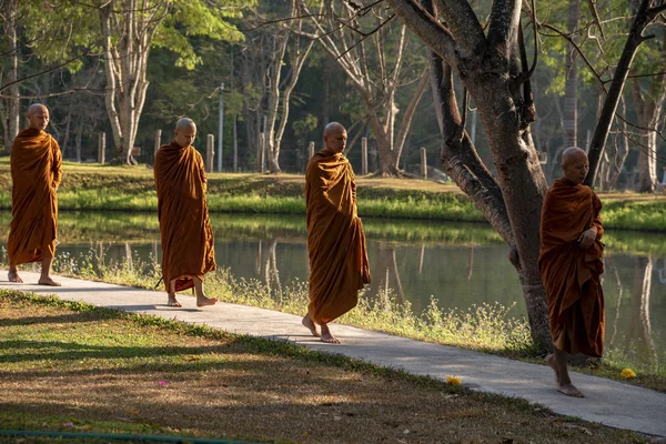 Vipassana Mosteiro Tailândia Cidade Chiang Mai Fevereiro 2019 — Fotografia de Stock