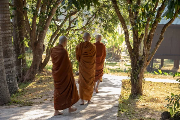 Vipassana Monastery Thailand Chiang Mai City February 2019 — 스톡 사진