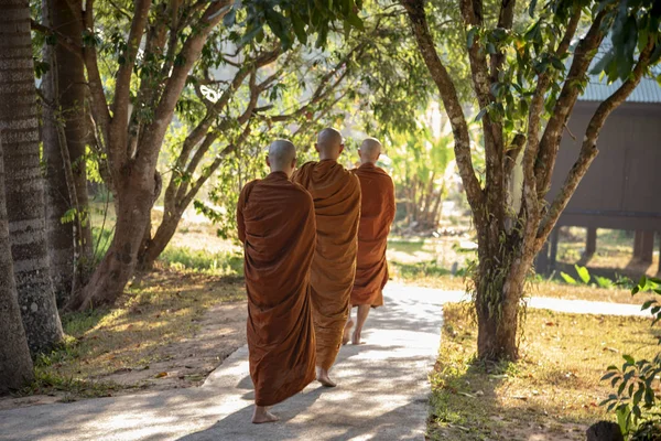 Vipassana Mosteiro Tailândia Cidade Chiang Mai Fevereiro 2019 — Fotografia de Stock