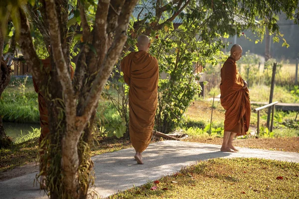 Vipassana Monasterio Tailandia Ciudad Chiang Mai Febrero 2019 — Foto de Stock