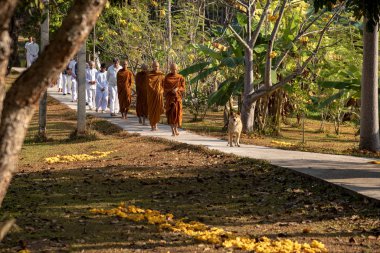 Vipassana manastırda. Tayland. Chiang Mai şehri. 15 Şubat 2019