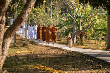 Vipassana manastırda. Tayland. Chiang Mai şehri. 15 Şubat 2019