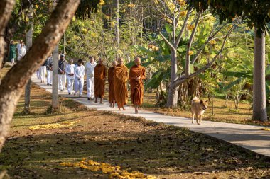 Vipassana manastırda. Tayland. Chiang Mai şehri. 15 Şubat 2019