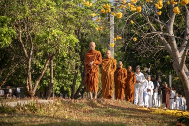 Vipassana manastırda. Tayland. Chiang Mai şehri. 15 Şubat 2019