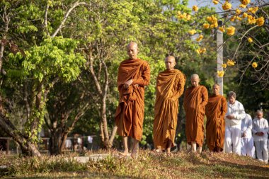 Vipassana manastırda. Tayland. Chiang Mai şehri. 15 Şubat 2019