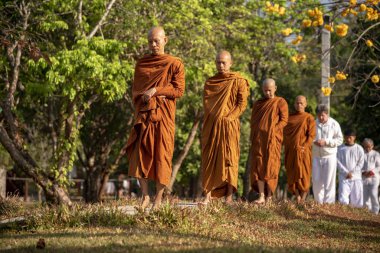 Vipassana manastırda. Tayland. Chiang Mai şehri. 15 Şubat 2019