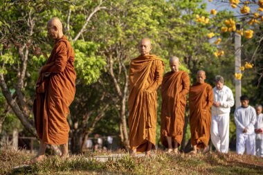 Vipassana manastırda. Tayland. Chiang Mai şehri. 15 Şubat 2019