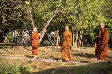 Vipassana manastırda. Tayland. Chiang Mai şehri. 15 Şubat 2019