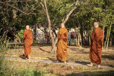 Vipassana manastırda. Tayland. Chiang Mai şehri. 15 Şubat 2019