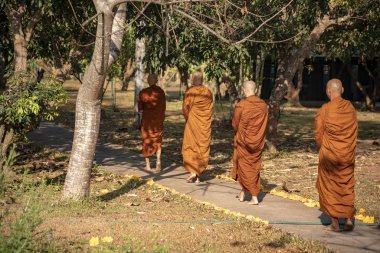 Vipassana manastırda. Tayland. Chiang Mai şehri. 15 Şubat 2019