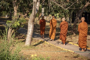 Vipassana manastırda. Tayland. Chiang Mai şehri. 15 Şubat 2019