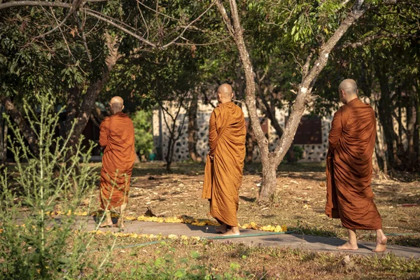 Vipassana Klasztorze Tajlandia Miasto Chiang Mai Lutego 2019 — Zdjęcie stockowe