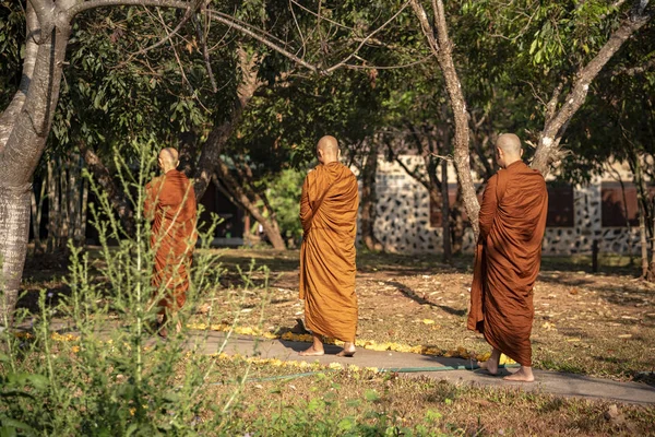 Віпасана Монастирі Таїланд Місто Чан Май Лютого 2019 — стокове фото