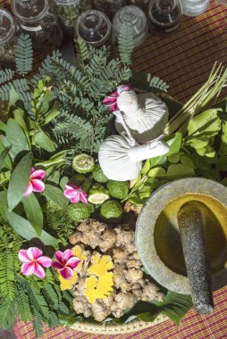 Hint Ayurvediği ilacı, bitkisel masaj