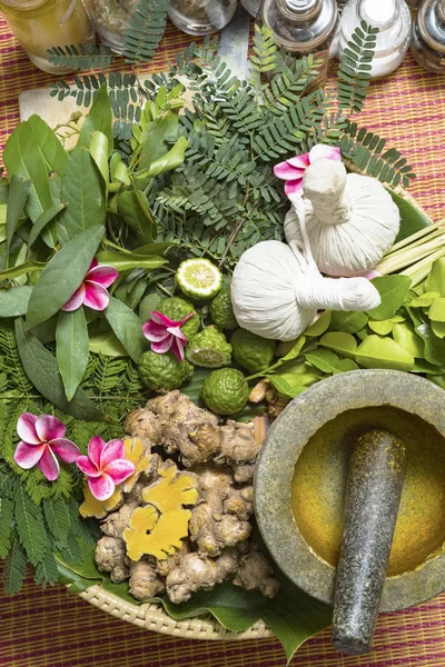 Indiase Ayurvedische Geneeskunde Kruidenmassage — Stockfoto