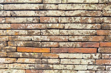 Bir Budist tapınağının antik tuğla ustası.