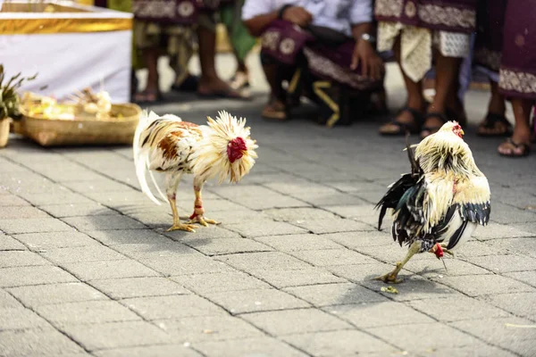 stock image New Years Eve celebration in Bali, Indonesia. Ubud City March 24, 2020