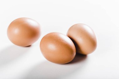 taze yumurta beyaz döşeme