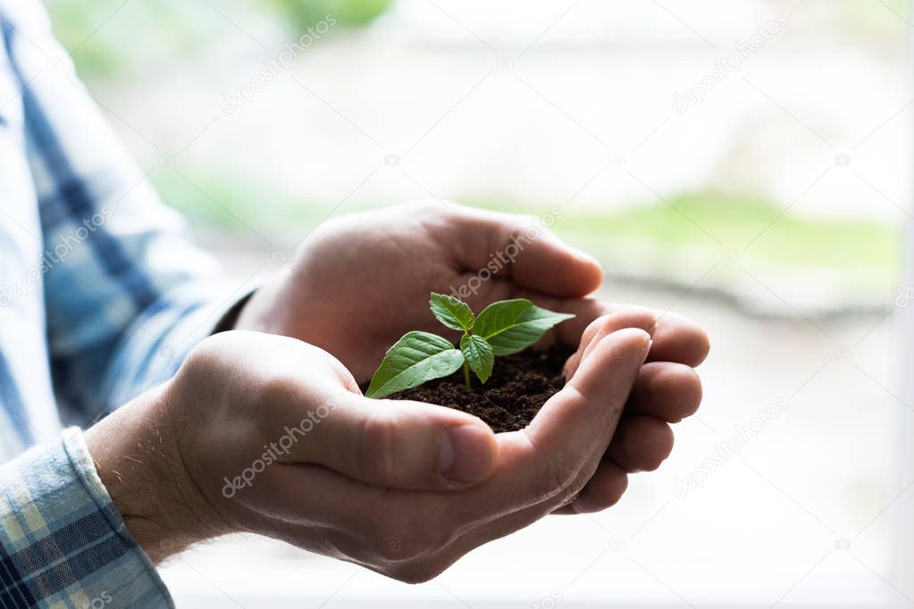 Hands holding  soil surface