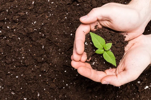 Hands holding  soil surface — Stock Photo, Image