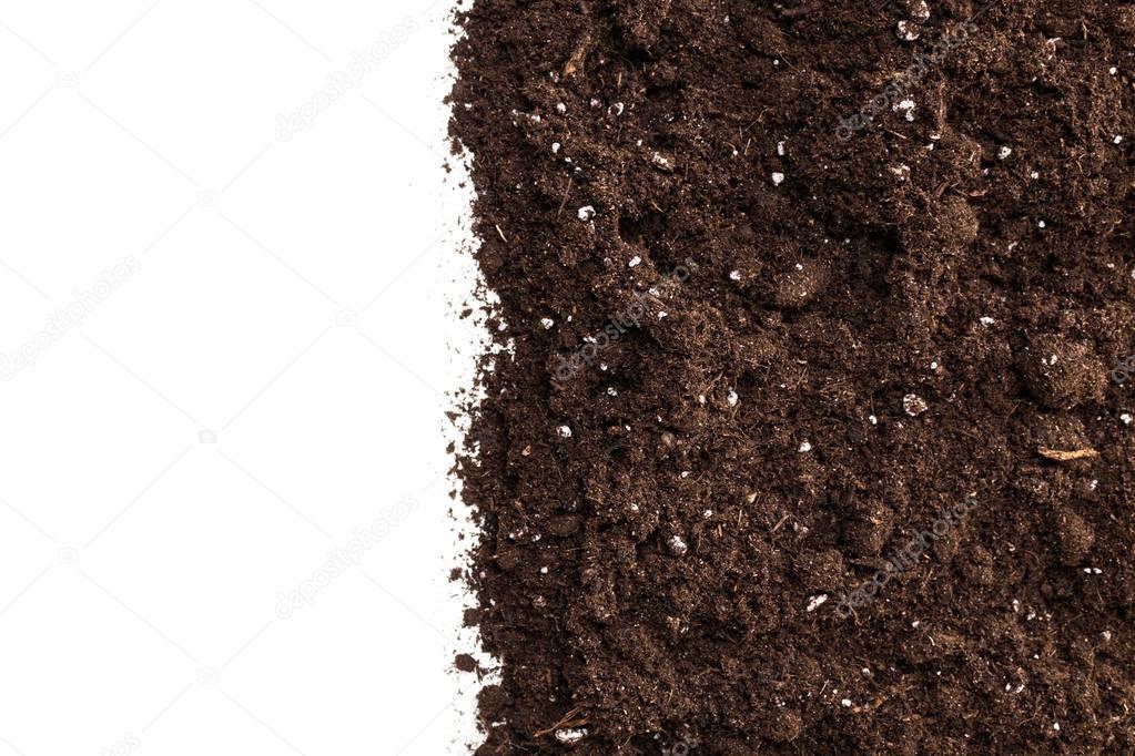 Soil or dirt section
