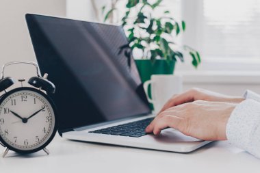 Dizüstü bilgisayarda çalışan iş adamı