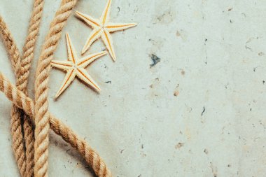 Natürmort deniz öğelerle 